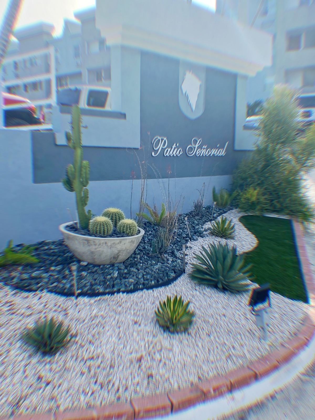 Patio Señorial in Ponce, cactus and agave by the entrance