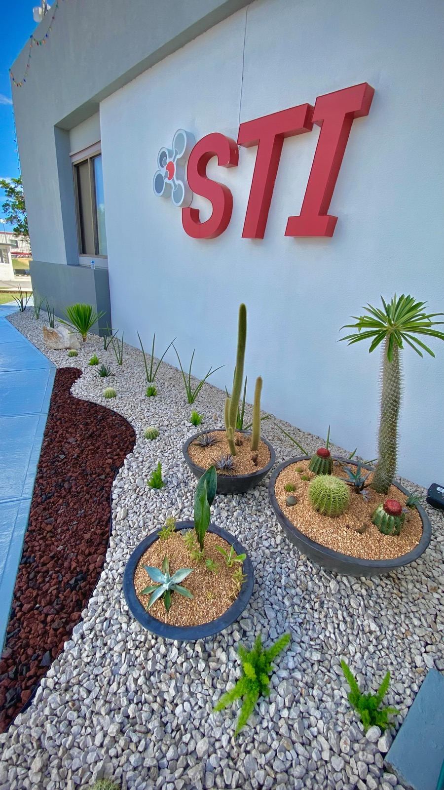 Commercial cactus garden installation