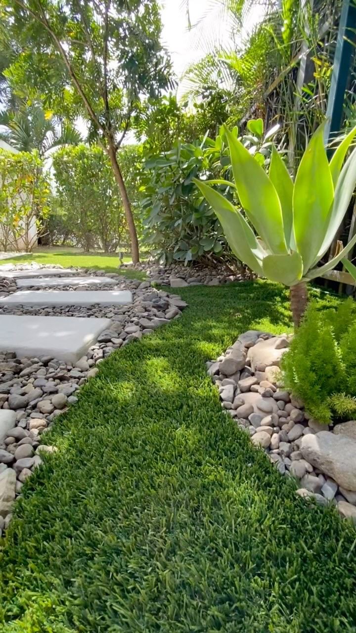 Tropical path through ferns, agave, and river rock